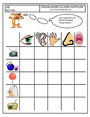 okul öncesi çocuklar için duyu organlarını eşleştirme çalışma sayfaları